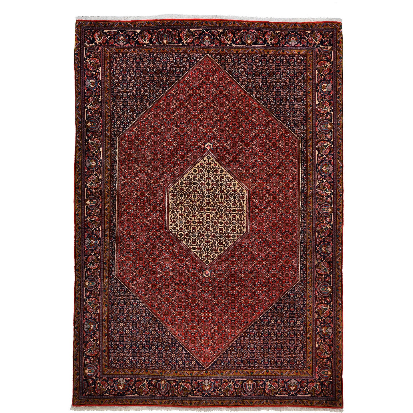 Bidjar 305x214 cm