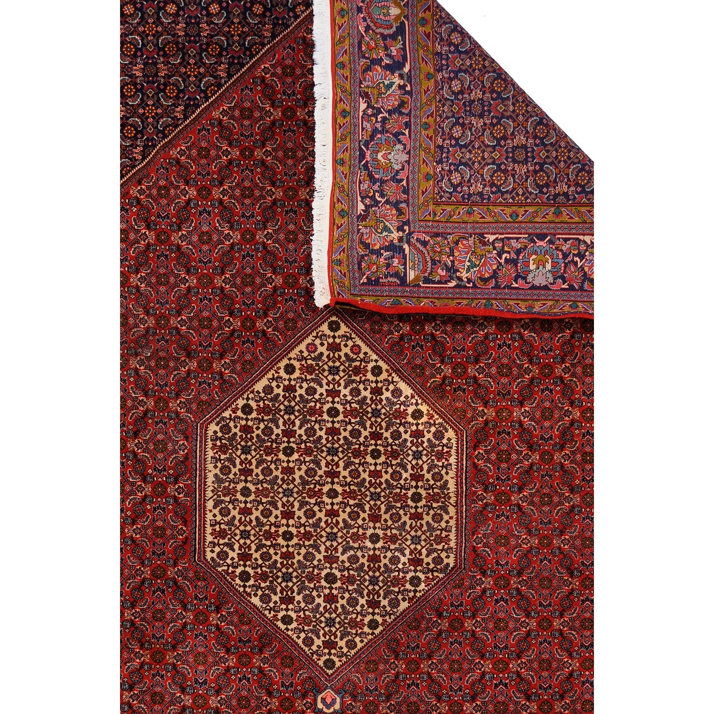 Bidjar 305x214 cm