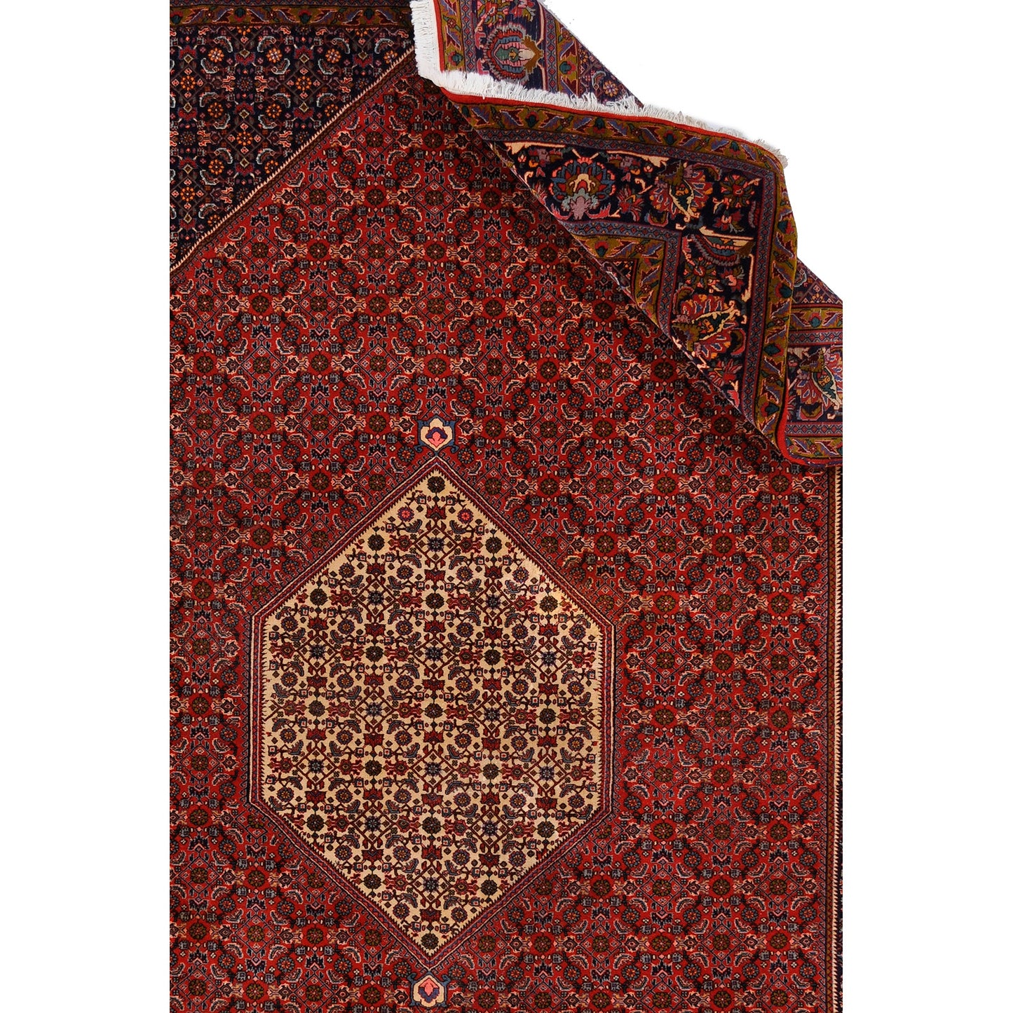 Bidjar 305x214 cm