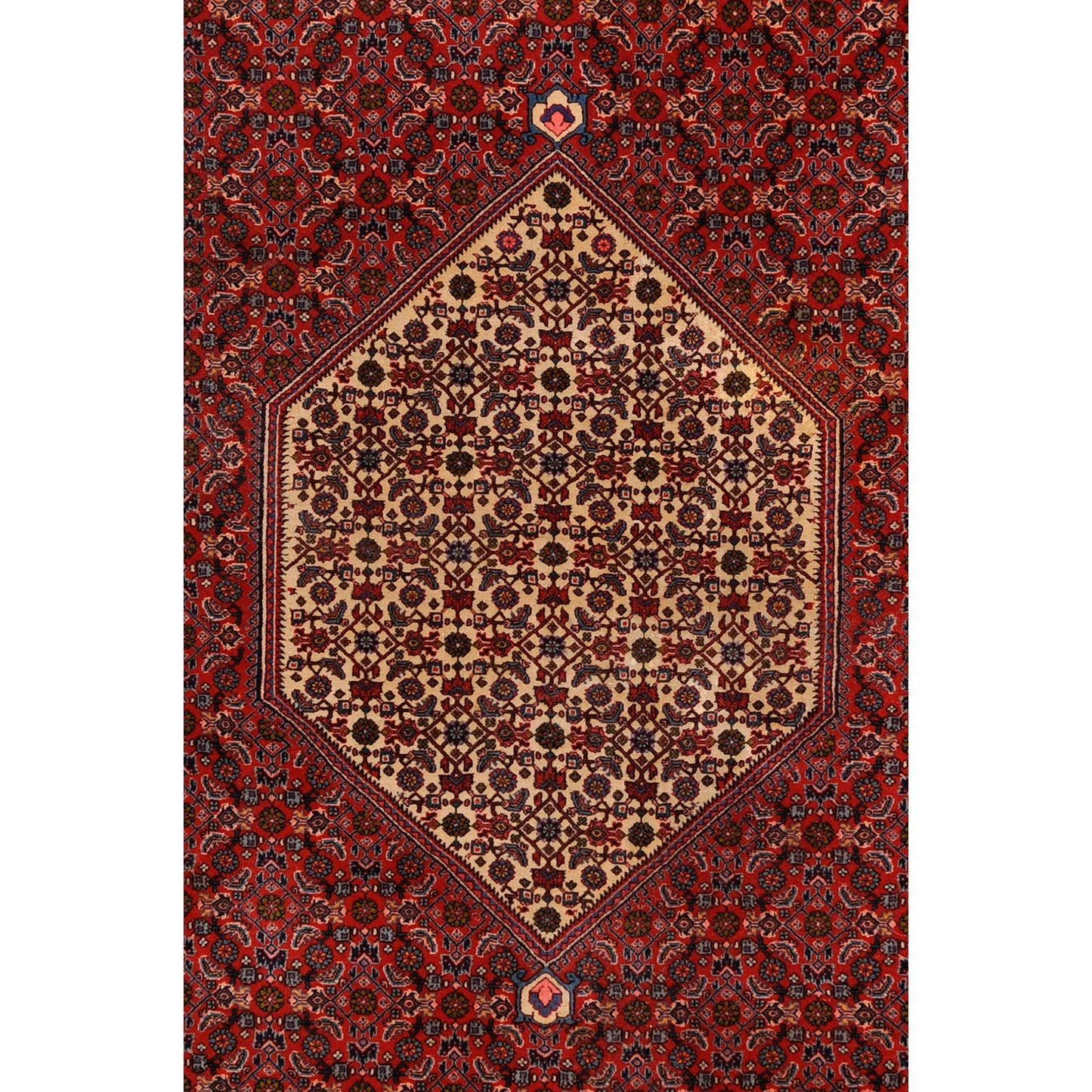 Bidjar 305x214 cm