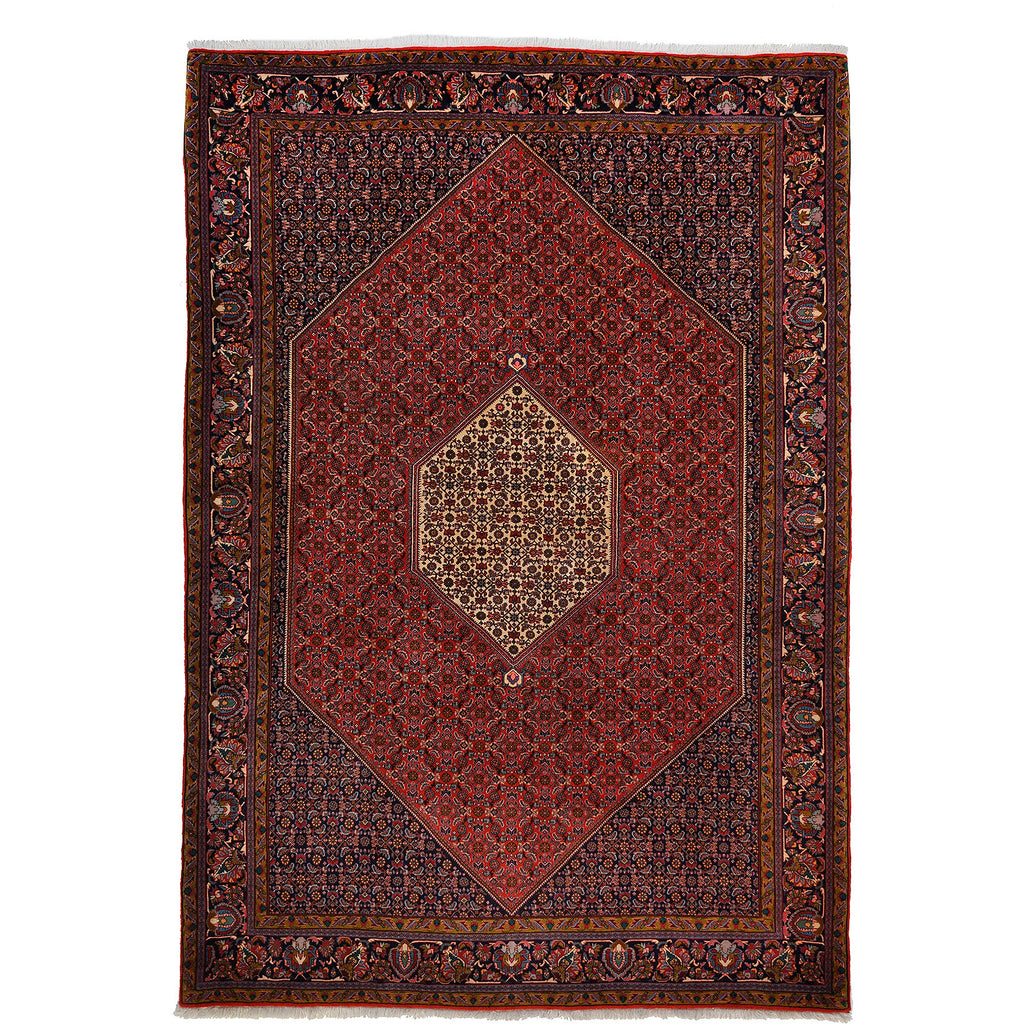 Bidjar 305x214 cm