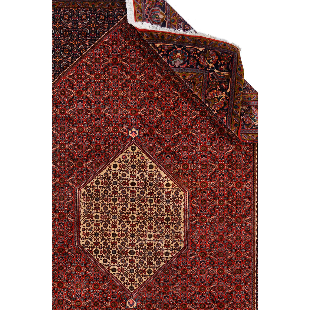 Bidjar 305x214 cm