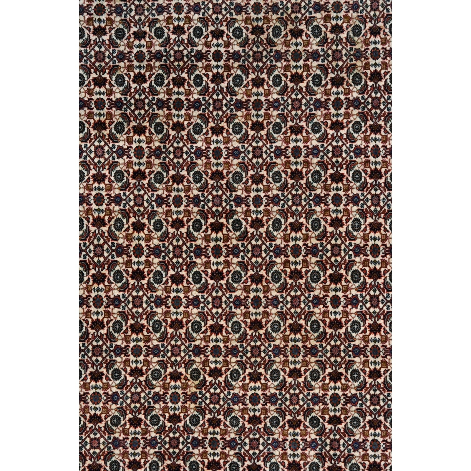 Bids 293x206 cm