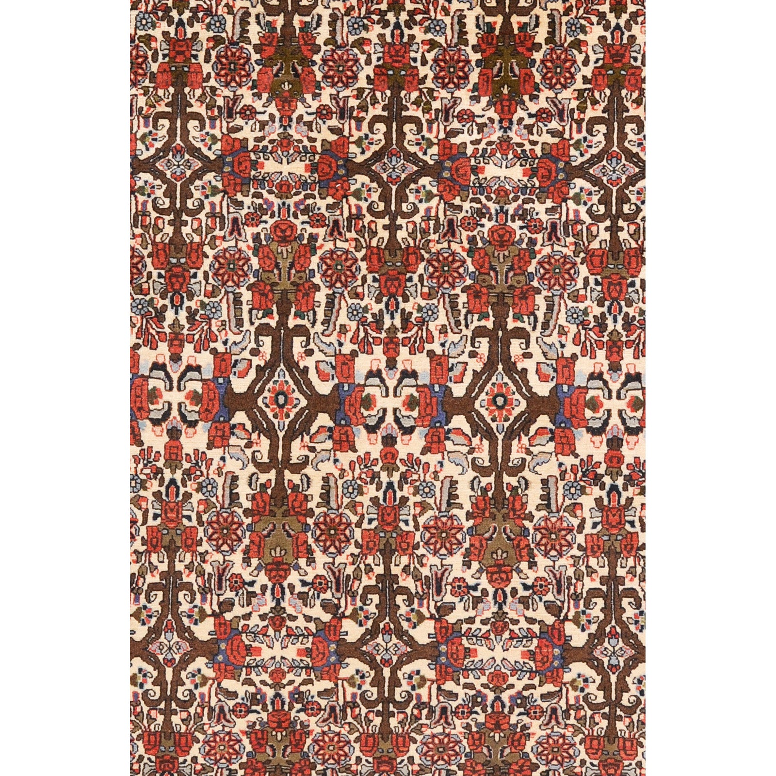 Bids 288x210 cm