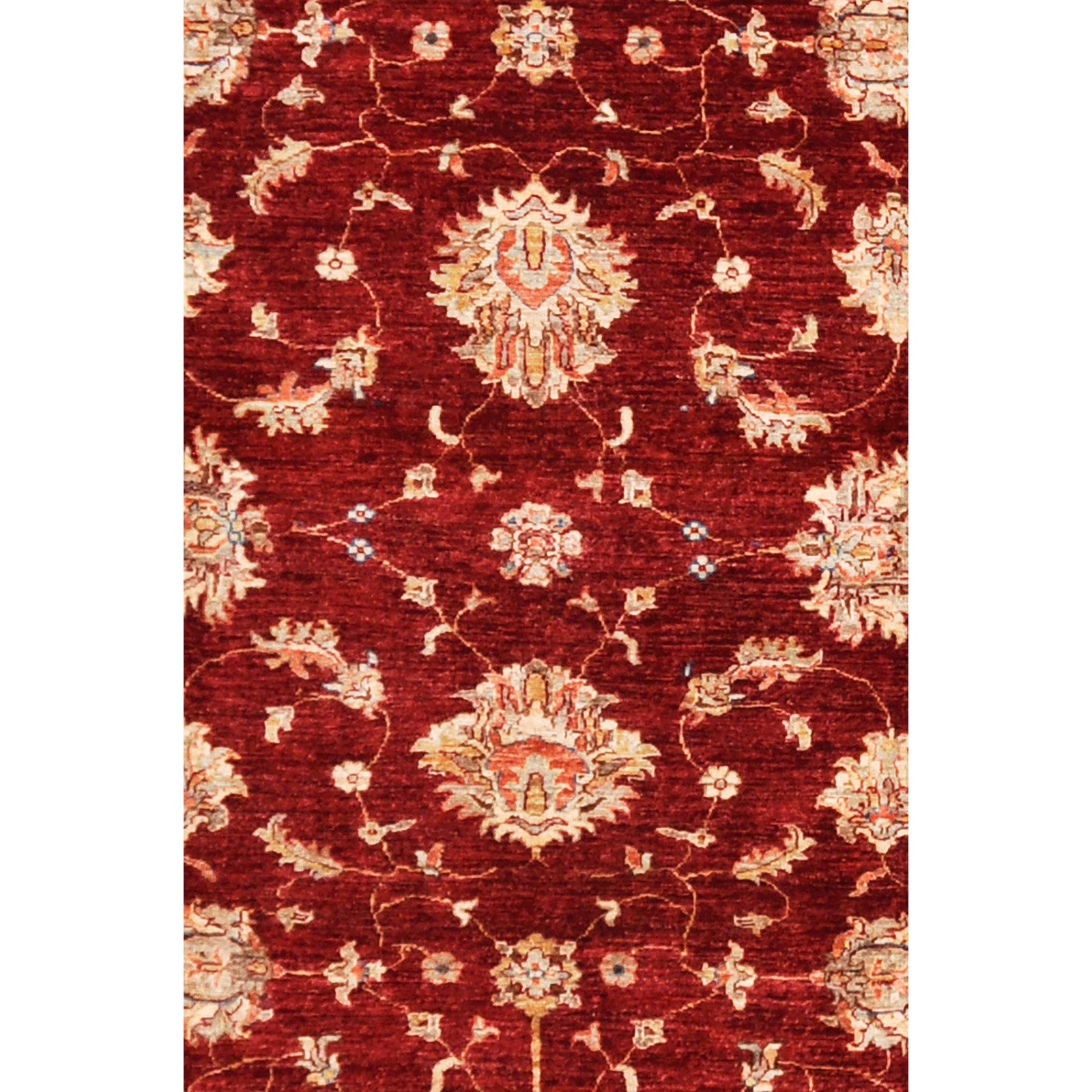 Ziglar 302x251 cm