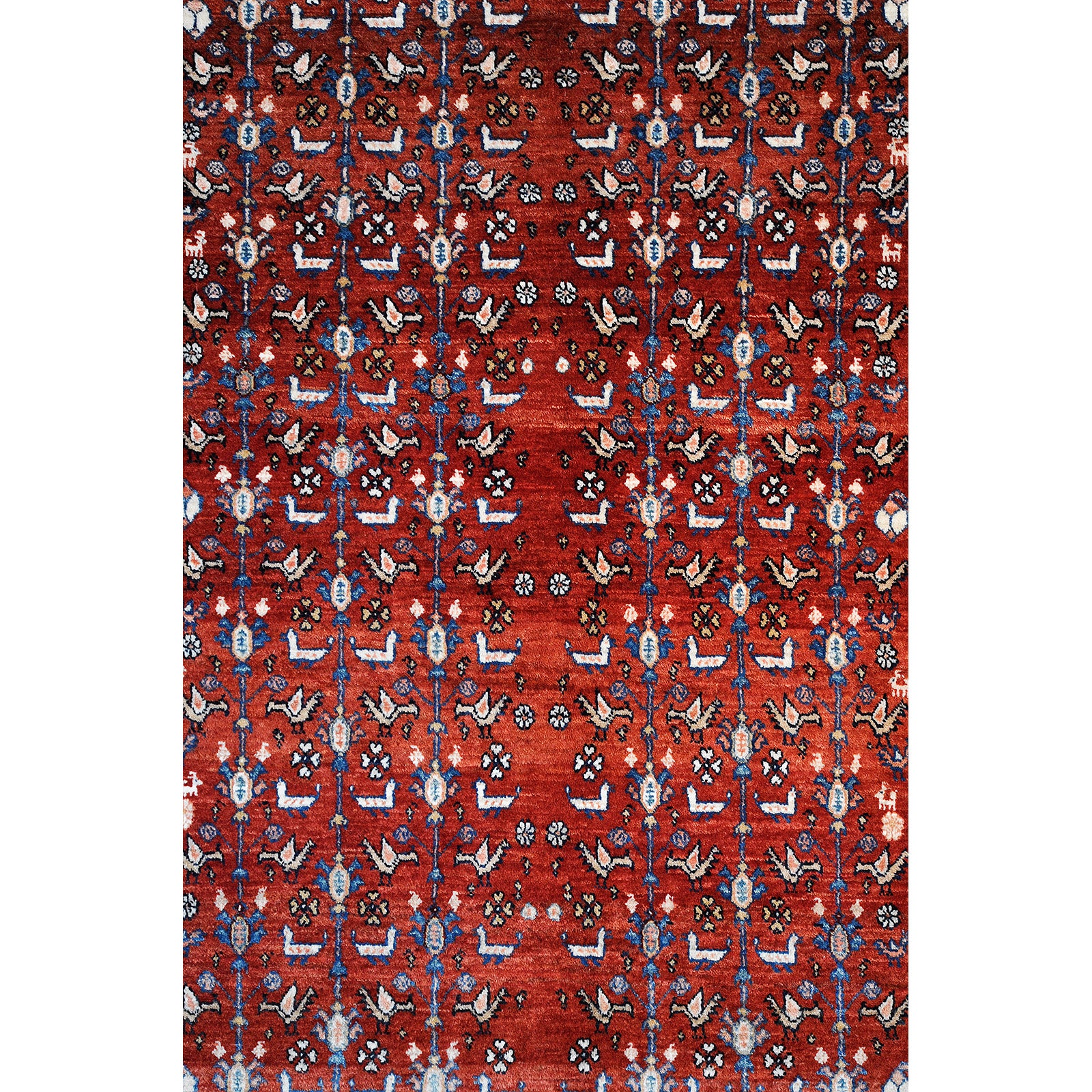 Kasholi 315x200 cm