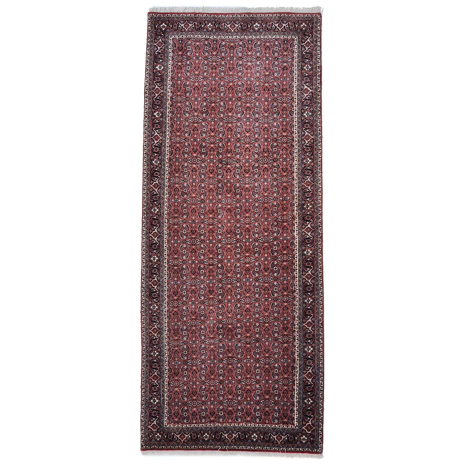 Bidjar 277x115 cm