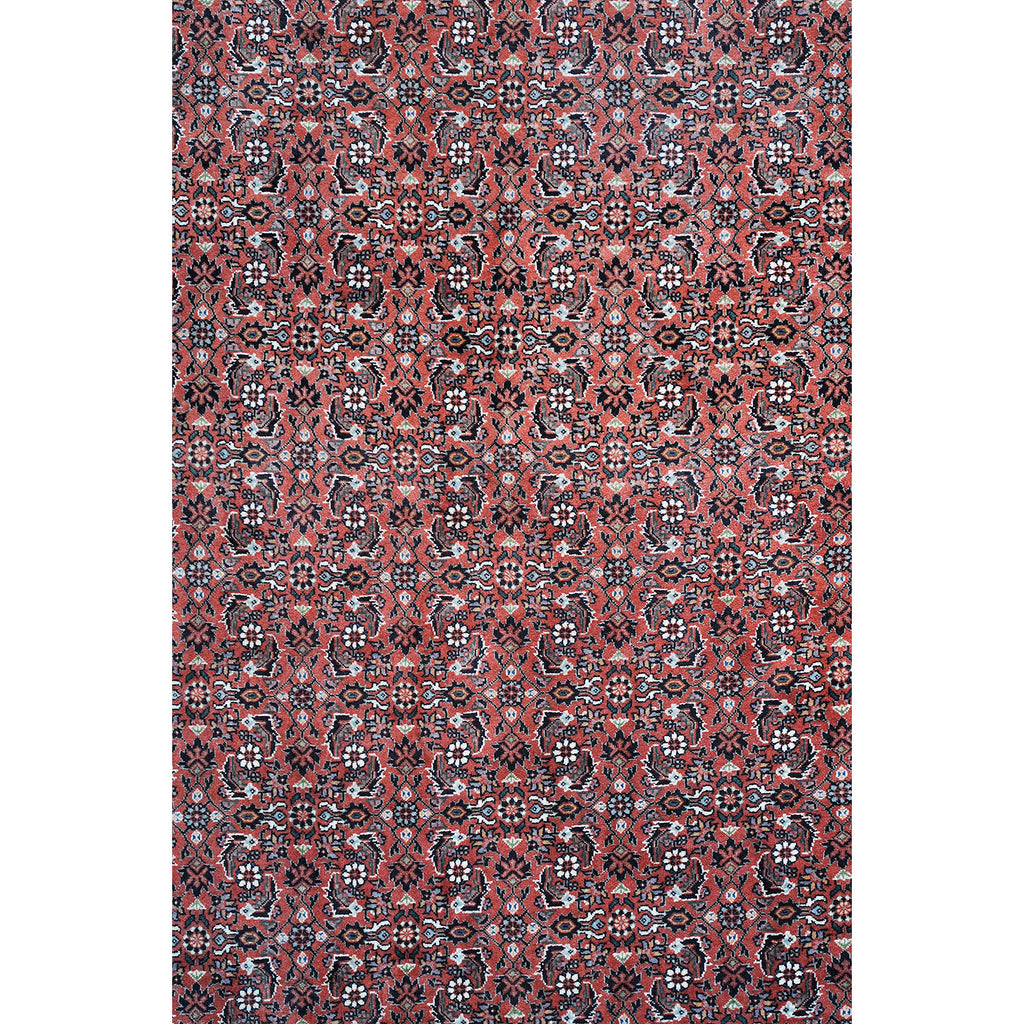 Bidjar 277x115 cm