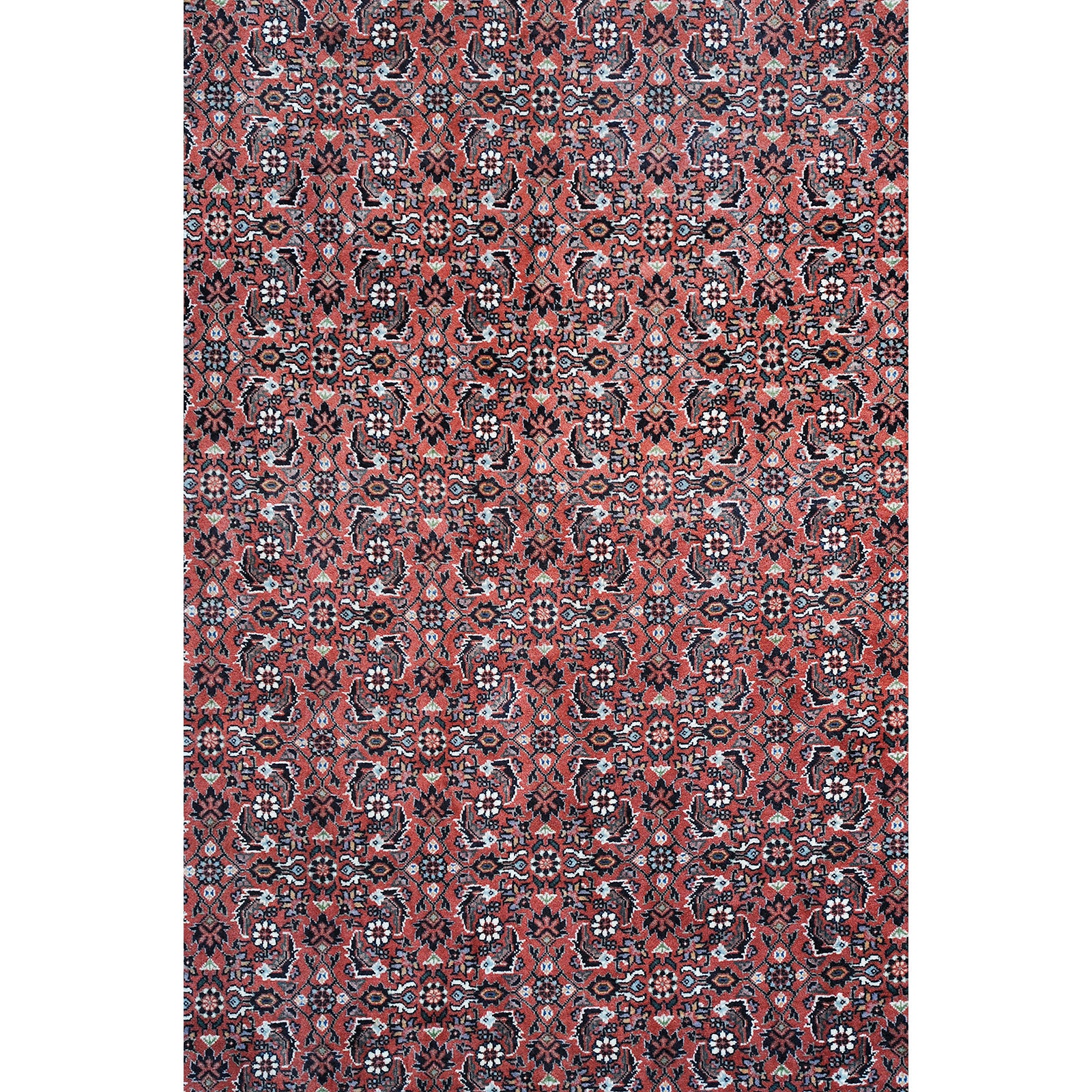 Bidjar 277x115 cm