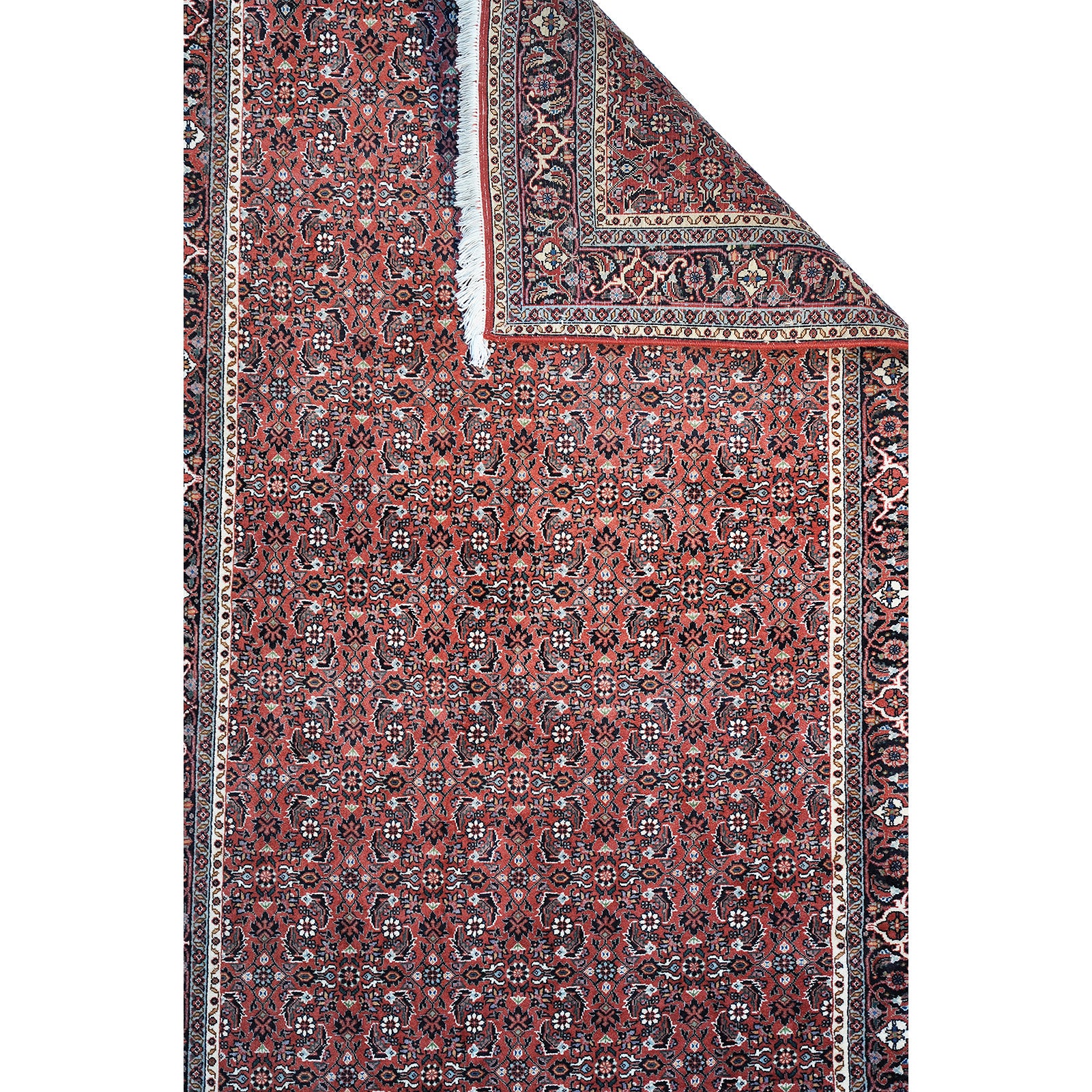 Bidjar 277x115 cm