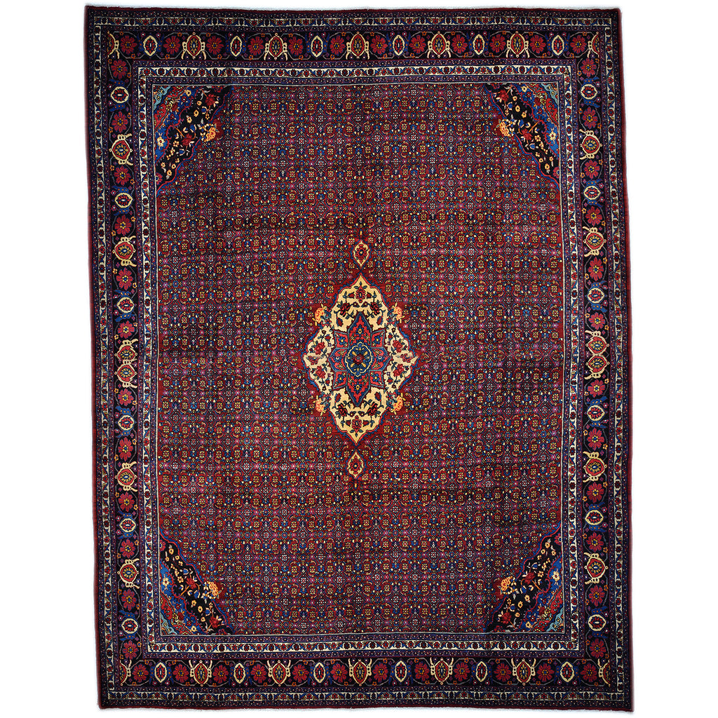 Bidjar 410x320 cm