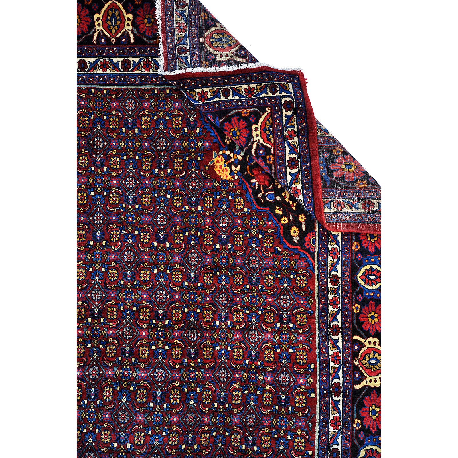 Bidjar 410x320 cm