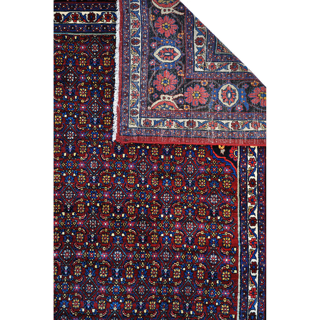Bidjar 410x320 cm