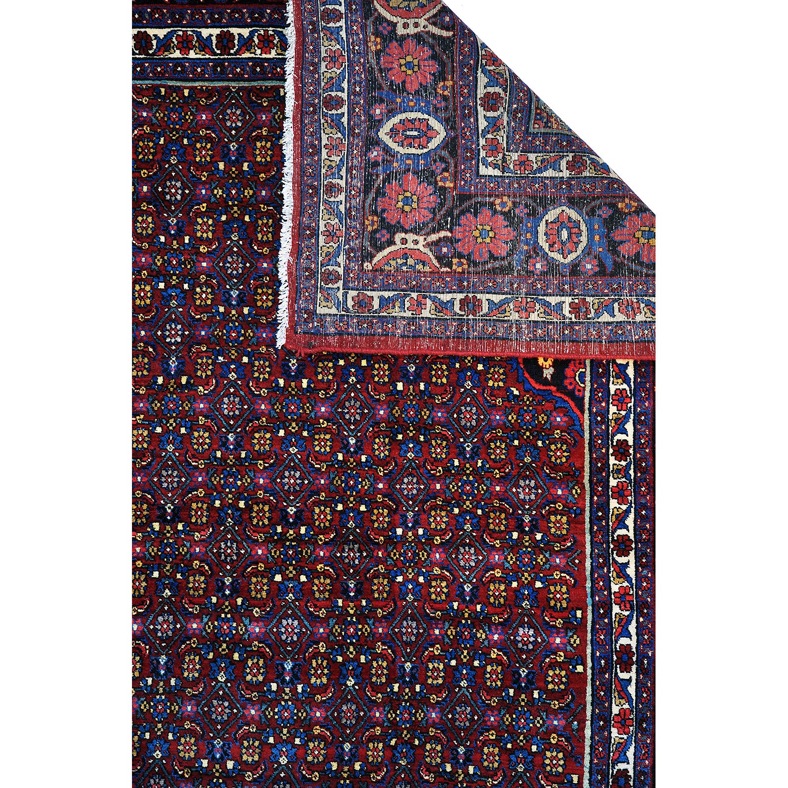 Bidjar 410x320 cm