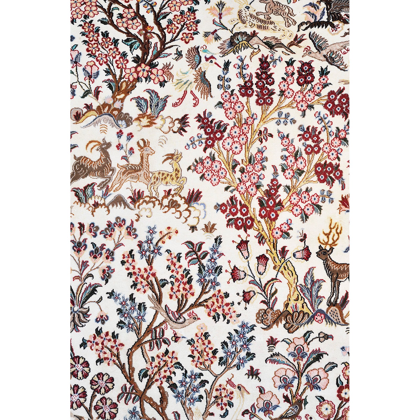 Kashan 207x139 cm