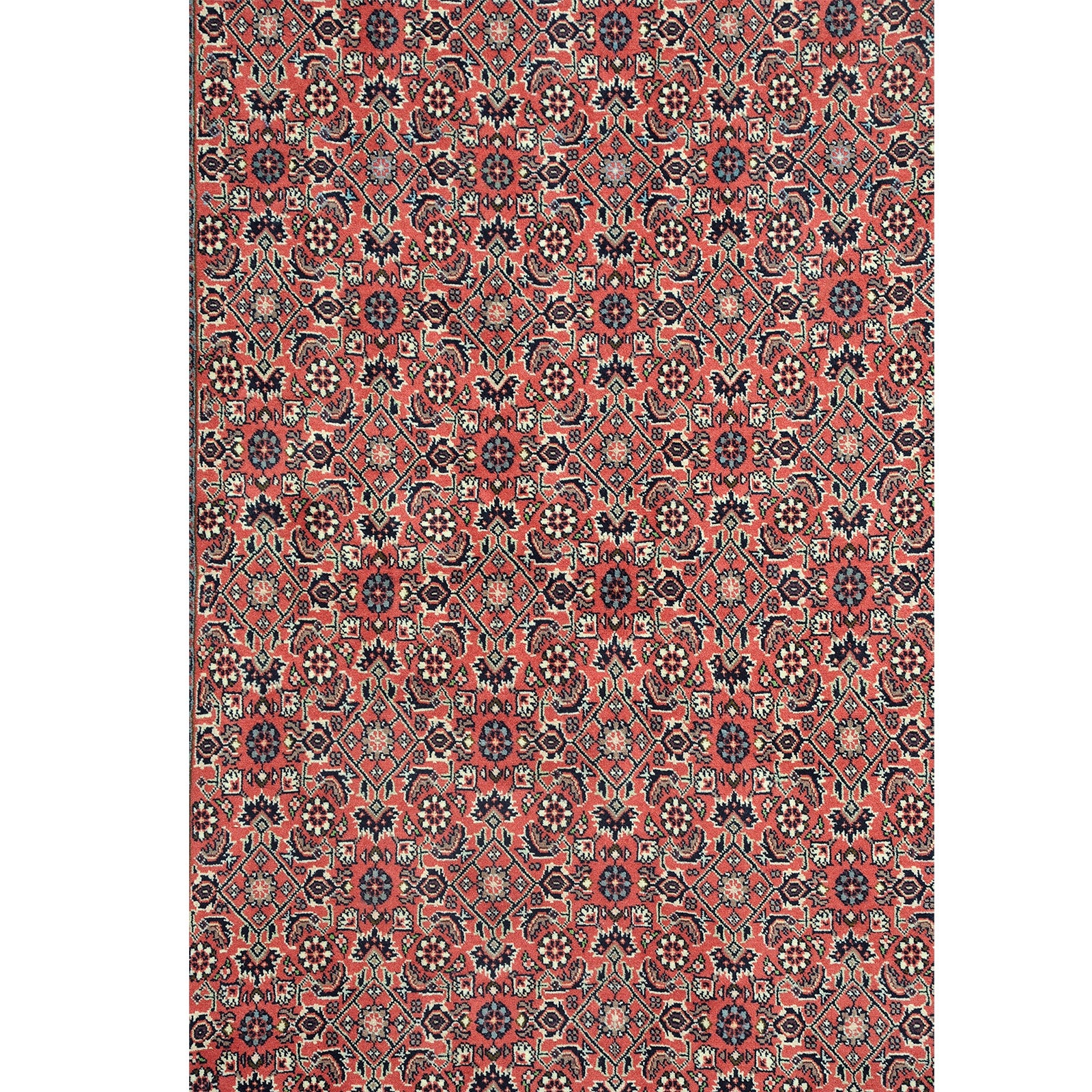 Bids 211x138 cm