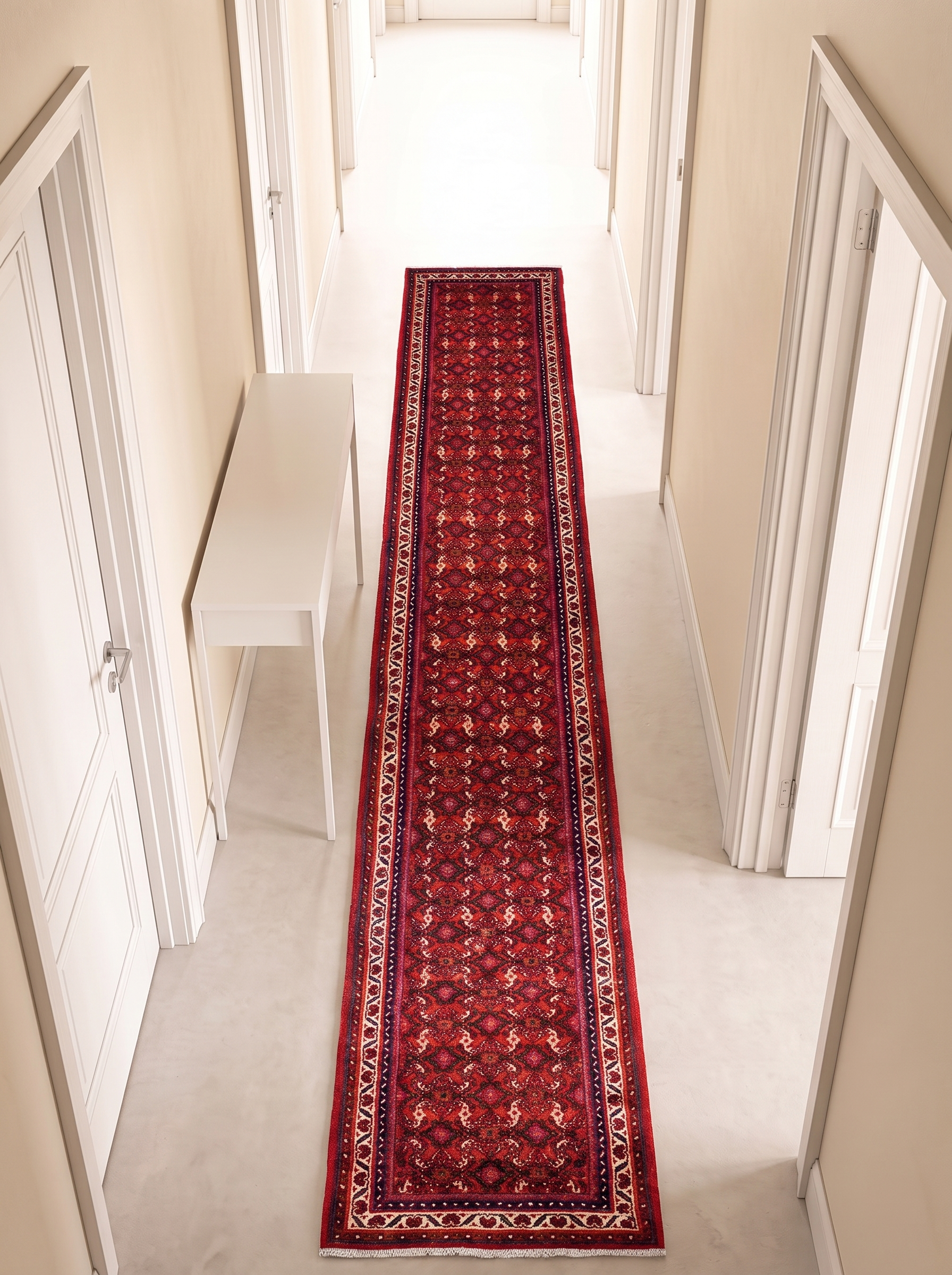 Housseinabad 502x82 cm i hallen